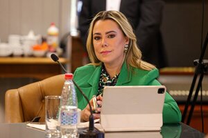Senadora exige al TSJE informe completo sobre campaña del diputado Raúl Benítez