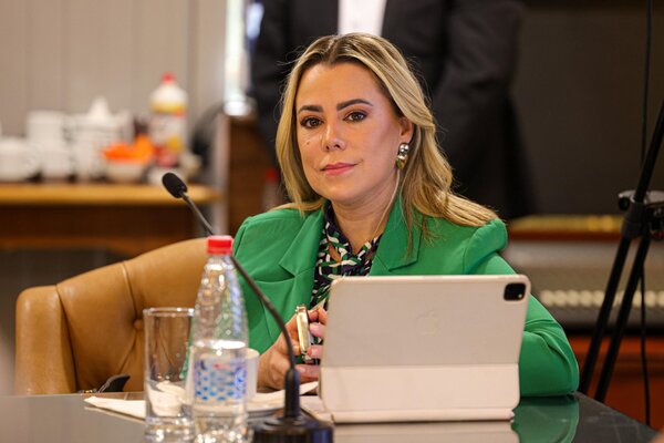 Senadora exige al TSJE informe completo sobre campaña del diputado Raúl Benítez