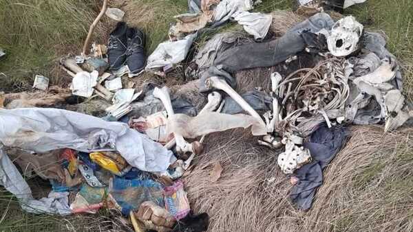 Pescadores se topan con restos óseos en Caaguazú y se investiga si son humanos