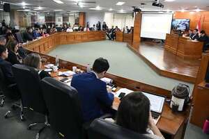 Causas penales contra “Nenecho”: denunciante pide que incluyan a concejales por aprobar balance con desvío de fondos - Nacionales - ABC Color