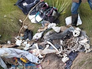 Hallan restos óseos en zona rural de Caaguazú