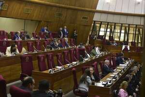 Video: una vez más, diputados llegan a los gritos en plena sesión - Política - ABC Color