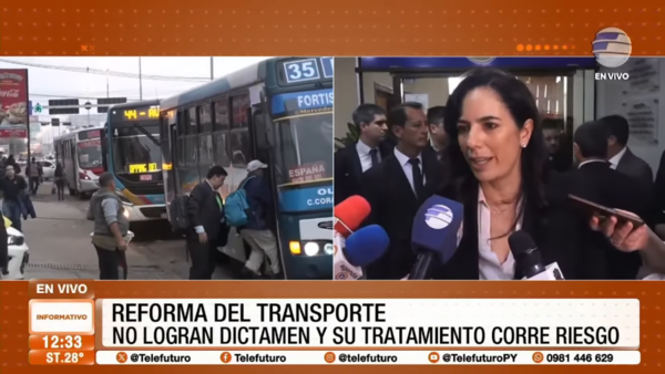 Reforma del transporte: No logran dictamen y su tratamiento corre riesgo