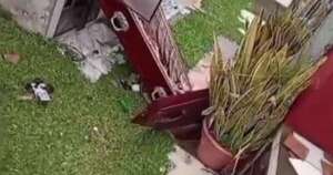 La Nación / Profanan tumba y llevan cuerpo en cementerio de San Lorenzo