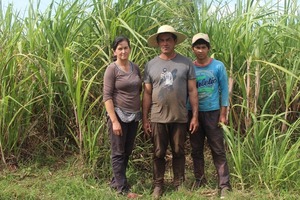 La cooperativa que fomenta la agricultura familiar