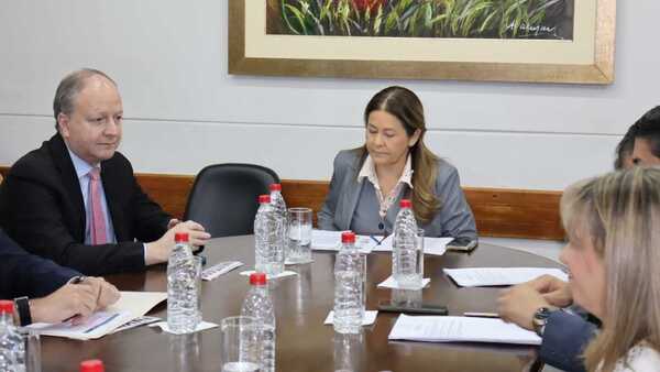 Ministro de Economía afirma que Gobierno no pretende privatizar la ANDE