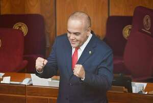 HC busca “atornillar” a “Bachi” en Presidencia del Senado hasta el 2028 - Política - ABC Color