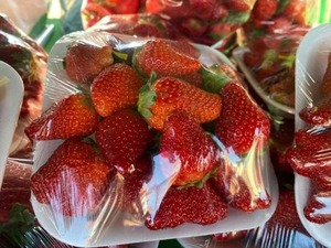 Recaudan G. 25 millones en 5ta. Edición de la Expo Frutilla 2025 en Caaguazú - ADN Digital