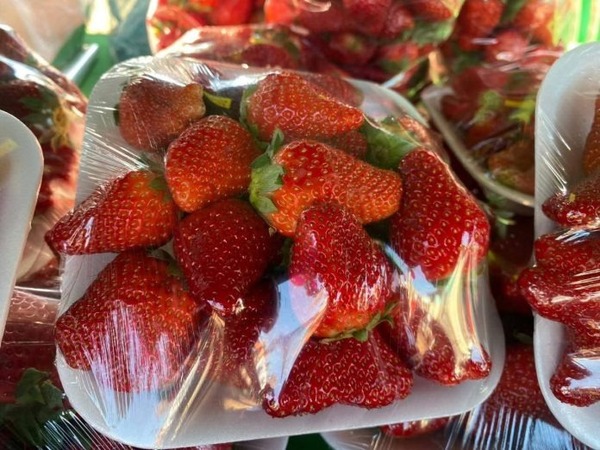 Recaudan G. 25 millones en 5ta. Edición de la Expo Frutilla 2025 en Caaguazú - ADN Digital