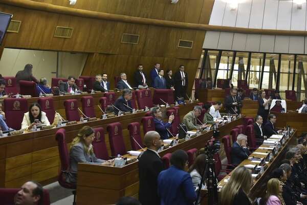 Diputados rechazan Ley “Anti Beto” - Política - ABC Color