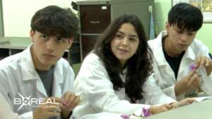 Por primera vez, Paraguay participará en la Olimpiada Iberoamericana de Biología | Unicanal