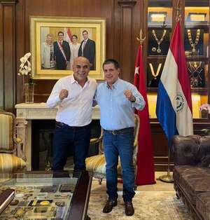 Bachi será reelecto presidente del Senado hasta 2028 para evitar que sea “bastión anticartista”  - Política - ABC Color