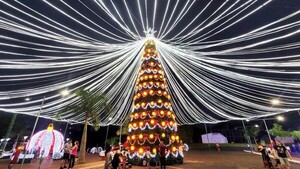 CDE se prepara para brillar otra vez con la Navidad Sustentable
