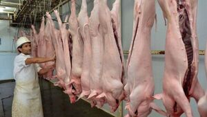 La exportación de carne porcina aumentó 80% al cierre de agosto