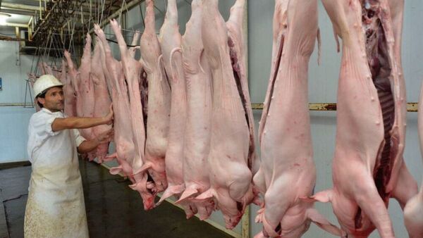 La exportación de carne porcina aumentó 80% al cierre de agosto