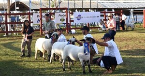 Eligen a los primeros grandes campeones de la Expo Norte 2025