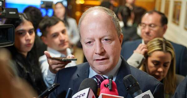 La Nación / Ministro de Economía desmiente que fusión de entes busque privatizar la Ande