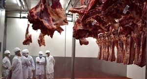 Paraguay exportó 250 millones de kilos de carne bovina este 2025