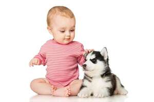 ¿Bebés y perros? La dupla que te devolverá la fe en la convivencia - Mascotas - ABC Color