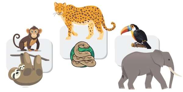 Descubre los fascinantes animales que habitan en la selva y sus características especiales - Así pienso, me expreso y me comunico - ABC Color