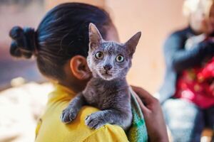 Municipalidad de Encarnación intensifica campaña de vacunación y cuidado de mascotas