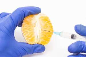 Labioplastia y expectativas: desmitificando la cirugía estética genital - Sexualidad - ABC Color