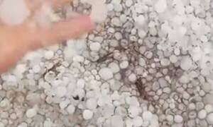 Intensa granizada sorprendió a vecinos de General Artigas – Prensa 5