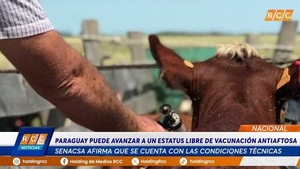 Video: SENACSA defiende debate sobre suspensión de la vacunación contra la fiebre aftosa