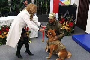 Jubilan a dos perros policías que en cinco años incautaron un millón de dólares en Bolivia - Mascotas - ABC Color
