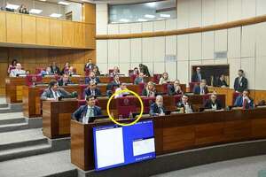 El gran ausente: senador cartista no votó por colega que lo traicionó - Política - ABC Color