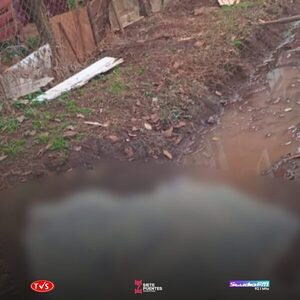 HALLAN CUERPO DE JOVEN CON SIGNOS DE EJECUCIÓN EN CAMINO VECINAL DE HERNANDARIAS - «TVS DIGITAL»