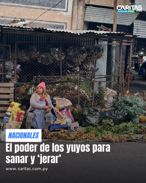 El poder de los yuyos para sanar y ‘jerar’ - Portal Digital Cáritas Universidad Católica