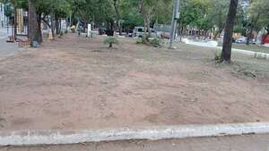 Plazas del Panteón de los Héroes quedaron dañadas tras festejos albirrojos - Nacionales - ABC Color