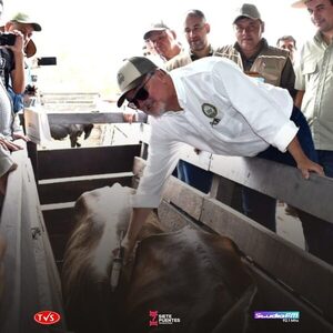 GANADEROS PRESENTARÁN EN 60 DÍAS UN PLAN PARA REFORZAR LA VACUNACIÓN ANTIAFTOSA Y MEDIDAS SANITARIAS PENDIENTES - «TVS DIGITAL»