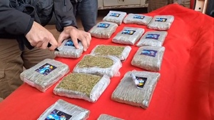 Interceptan televisor con marihuana en la terminal de Concepción - Concepción al Día