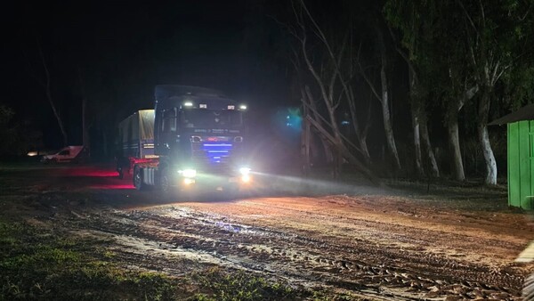 Policías de Santa Rosa del Aguaray niegan robo de 120.000 kilos de chía negra