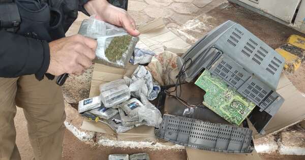 Diario HOY | Descubren marihuana “Skunk” oculta dentro de una encomienda enviada al norte