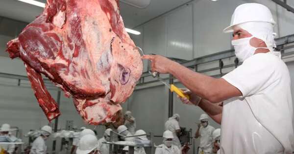 La Nación / La faena de bovinos alcanzó en agosto más de 181 mil cabezas