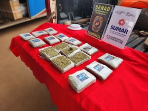 Senad incauta droga camuflada en televisor - ADN Digital