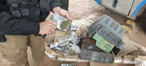 Evitan llegada de marihuana tipo Skunk destinada al microtráfico en Concepción