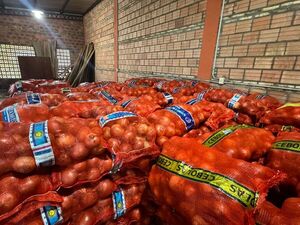 DNIT decomisa más de 41 toneladas de tomates y cebollas en operativo en Ñemby