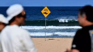 Un tiburón mata a un surfista en una playa de Australia