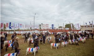 Expo Norte 2025 abrió sus puertas con una inauguración histórica en Concepción - OviedoPress