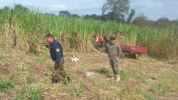 Granjero muere en un trágico accidente de trabajo - Nacionales - ABC Color