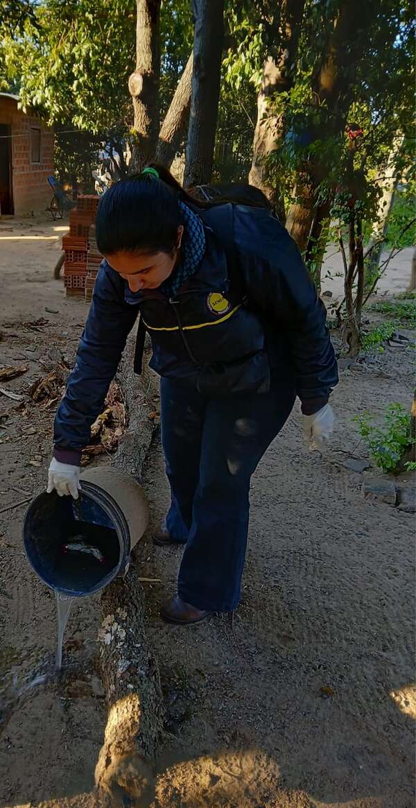 Santiago con alto índice larvario de dengue, afirman - Nacionales - ABC Color