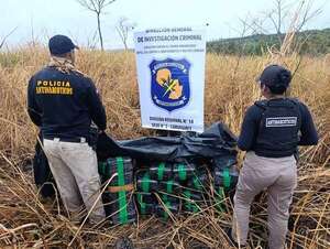 Incautan casi 300 kilos de marihuana prensada en Canindeyú - Policiales - ABC Color