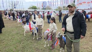 Reclaman seguridad, caminos y garantías para trabajadores en la Expo Norte 2025 - Concepción al Día