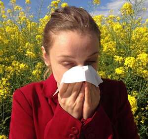 Alergia de primavera: conocé cuales son las causas y cómo prevenir   - Estilo de vida - ABC Color