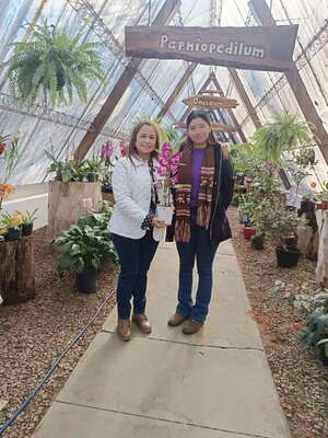 Floricultores invitan a visitar viveros para dar un toque primaveral al hogar - Nacionales - ABC Color
