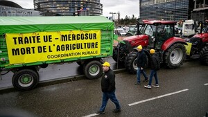 Claves en el camino de ratificación del acuerdo comercial UE-Mercosur